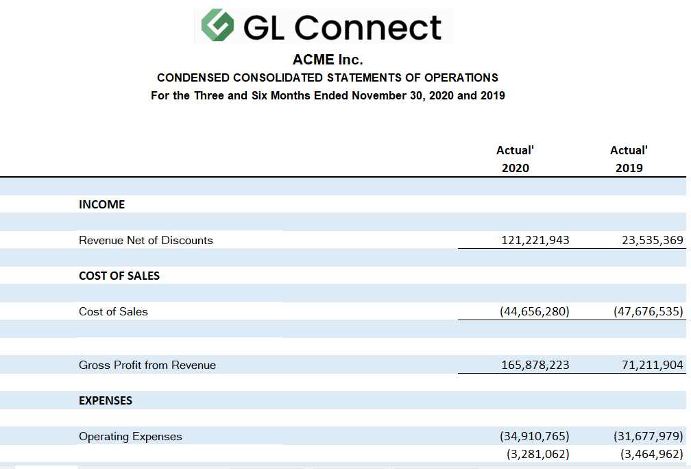GL Connect CEO P&L Report