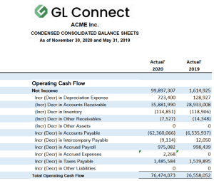 GL Connect CFO Cash Flow Report