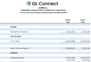 GL Connect P&L Report